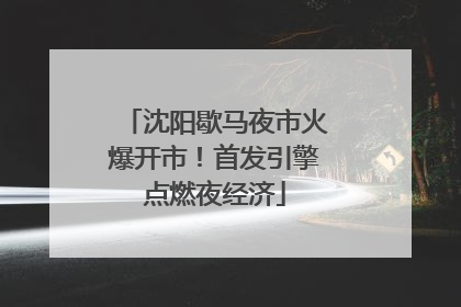 沈阳歇马夜市火爆开市！首发引擎点燃夜经济