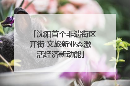 沈阳首个非遗街区开街 文旅新业态激活经济新动能