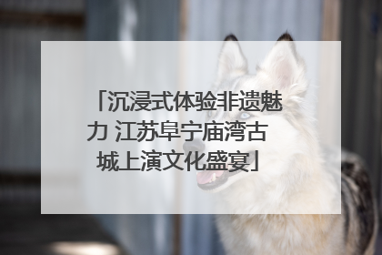 沉浸式体验非遗魅力 江苏阜宁庙湾古城上演文化盛宴