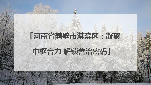 河南省鹤壁市淇滨区：凝聚中枢合力 解锁善治密码