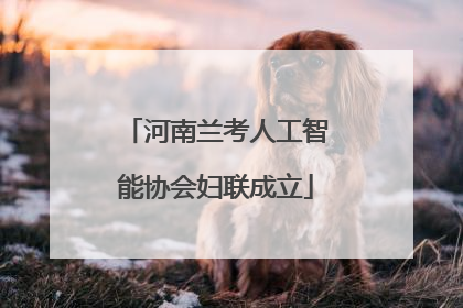 河南兰考人工智能协会妇联成立