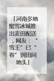 河南多地蜜雪冰城推出麦田配送，网友：“雪王”已“卷”到田间地头