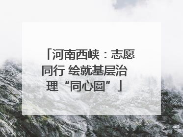 河南西峡：志愿同行 绘就基层治理“同心圆”