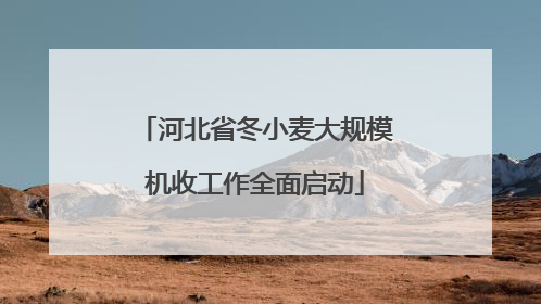 河北省冬小麦大规模机收工作全面启动