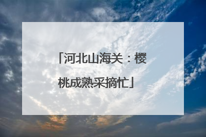 河北山海关：樱桃成熟采摘忙