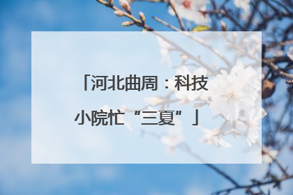 河北曲周：科技小院忙“三夏”