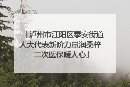 泸州市江阳区泰安街道人大代表新阶力量润桑梓 二次医保暖人心