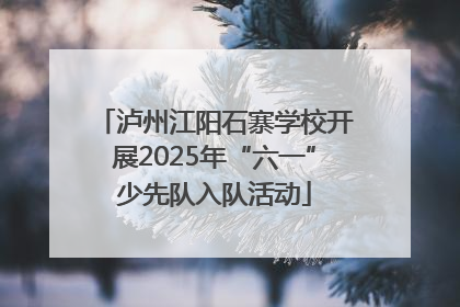 泸州江阳石寨学校开展2025年“六一”少先队入队活动