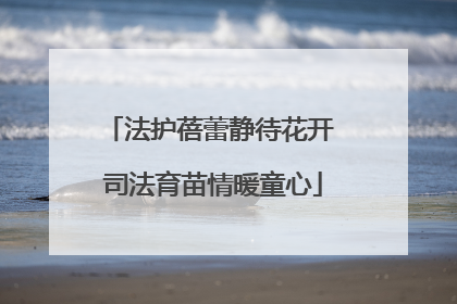 法护蓓蕾静待花开 司法育苗情暖童心
