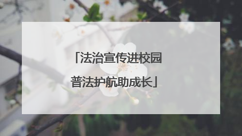法治宣传进校园 普法护航助成长