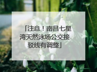 注意！南昌七星湾天然泳场公交接驳线有调整