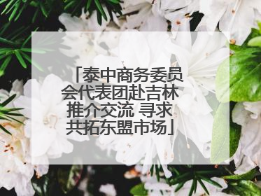 泰中商务委员会代表团赴吉林推介交流 寻求共拓东盟市场