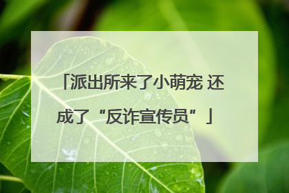 派出所来了小萌宠 还成了“反诈宣传员”