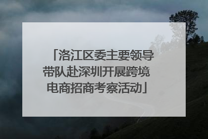 洛江区委主要领导带队赴深圳开展跨境电商招商考察活动