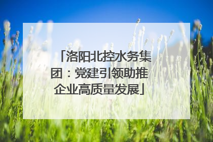洛阳北控水务集团：党建引领助推企业高质量发展