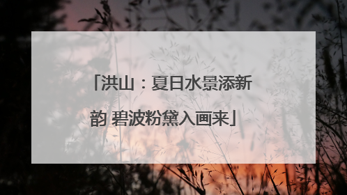 洪山：夏日水景添新韵 碧波粉黛入画来