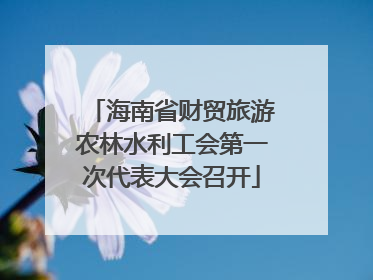 海南省财贸旅游农林水利工会第一次代表大会召开