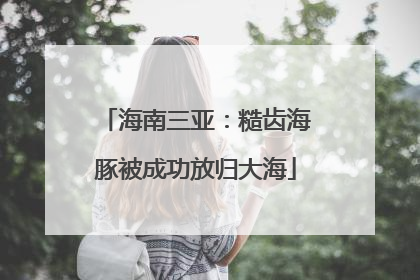 海南三亚：糙齿海豚被成功放归大海
