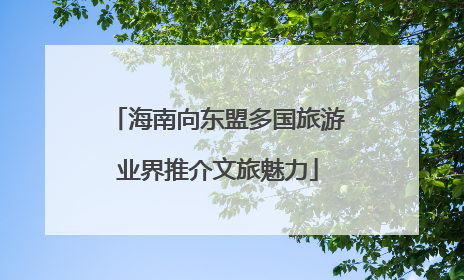 海南向东盟多国旅游业界推介文旅魅力
