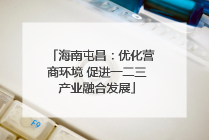 海南屯昌：优化营商环境 促进一二三产业融合发展