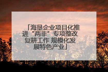 海垦企业项目化推进“两非”专项整改复耕工作 规模化发展特色产业