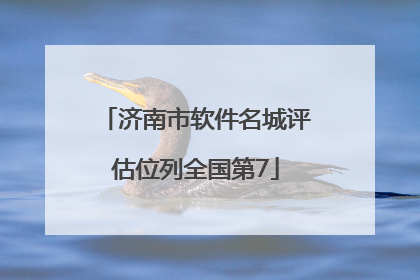 济南市软件名城评估位列全国第7