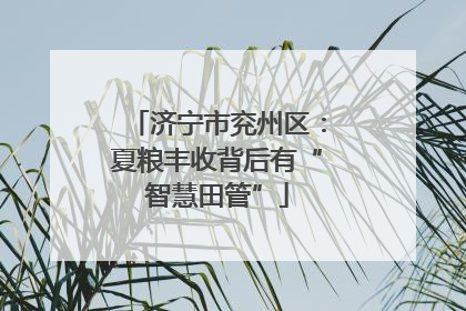 济宁市兖州区：夏粮丰收背后有“智慧田管”