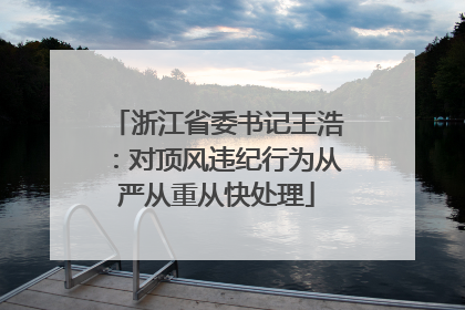 浙江省委书记王浩：对顶风违纪行为从严从重从快处理