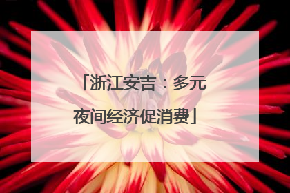 浙江安吉：多元夜间经济促消费