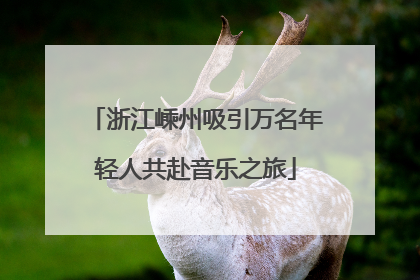 浙江嵊州吸引万名年轻人共赴音乐之旅