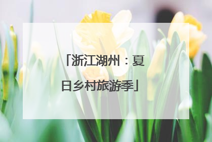 浙江湖州：夏日乡村旅游季