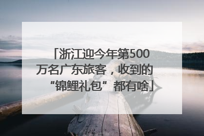 浙江迎今年第500万名广东旅客，收到的“锦鲤礼包”都有啥