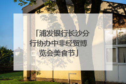 浦发银行长沙分行协办中非经贸博览会美食节