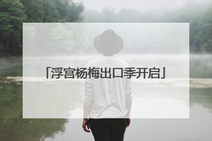 浮宫杨梅出口季开启
