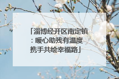淄博经开区南定镇：暖心助残有温度 携手共绘幸福路