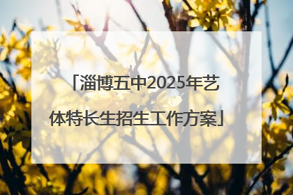 淄博五中2025年艺体特长生招生工作方案