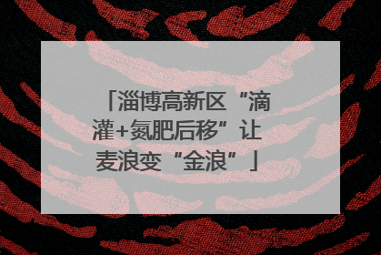 淄博高新区“滴灌+氮肥后移”让麦浪变“金浪”