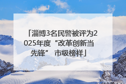 淄博3名民警被评为2025年度“改革创新当先锋” 市级榜样
