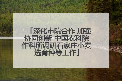 深化市院合作 加强协同创新 中国农科院作科所调研石家庄小麦选育种等工作