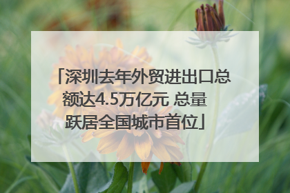 深圳去年外贸进出口总额达4.5万亿元 总量跃居全国城市首位