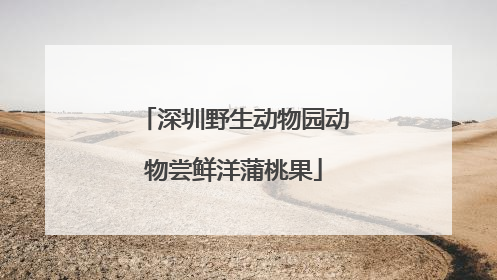 深圳野生动物园动物尝鲜洋蒲桃果