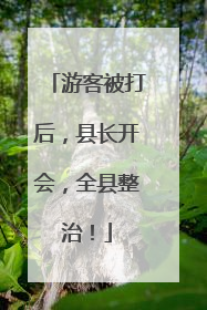 游客被打后，县长开会，全县整治！