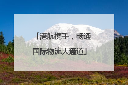 港航携手，畅通国际物流大通道