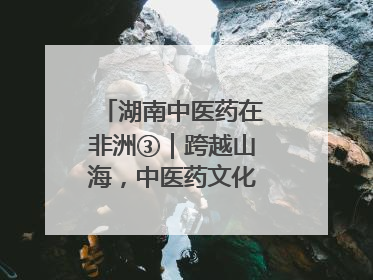 湖南中医药在非洲③｜跨越山海，中医药文化浸润非洲