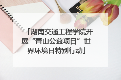 湖南交通工程学院开展“青山公益项目”世界环境日特别行动
