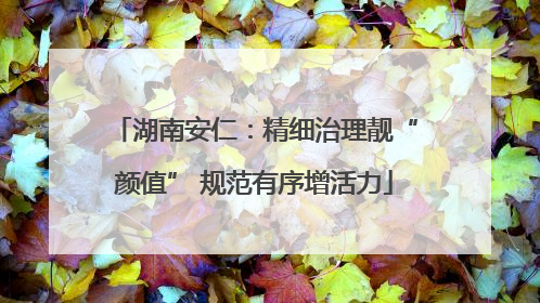 湖南安仁：精细治理靓“颜值” 规范有序增活力