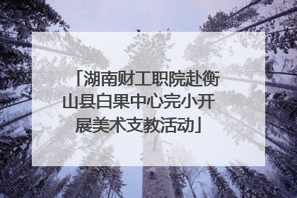 湖南财工职院赴衡山县白果中心完小开展美术支教活动