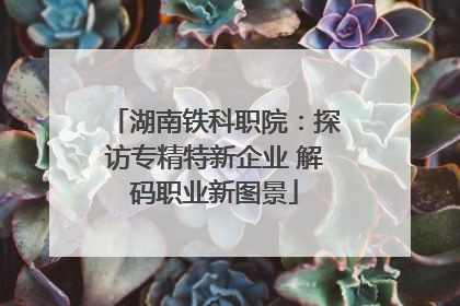 湖南铁科职院：探访专精特新企业 解码职业新图景