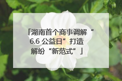 湖南首个商事调解“6.6 公益日”打造解纷“新范式”