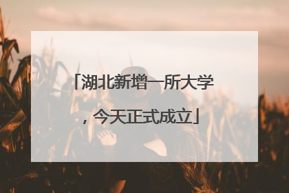 湖北新增一所大学，今天正式成立